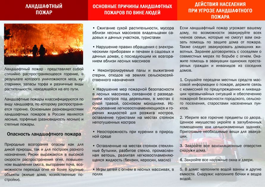 информация о действиях при возникновении лесного пожара