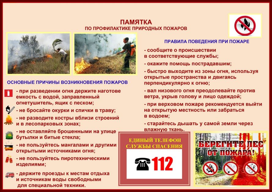 памятка о профилактике природных пожаров