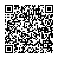 qr-код для перехода к pdf файлу на Проект «Организация деревообработки, производства сухого пиломатериала, столярных изделий»