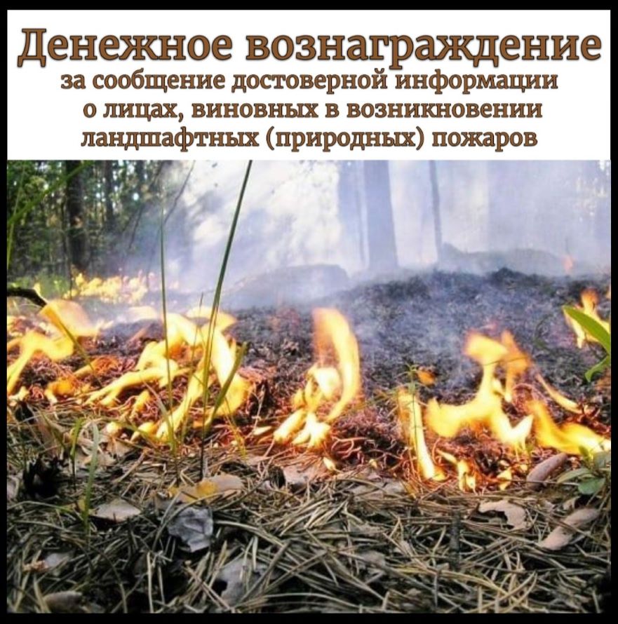 Денежное вознаграждение за сообщение достоверной информации о лицах виновных в возникновении природных (ландшафтных) пожаров
