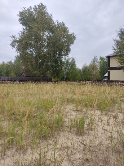 Территория, отведенная под реализацию инициативного проекта